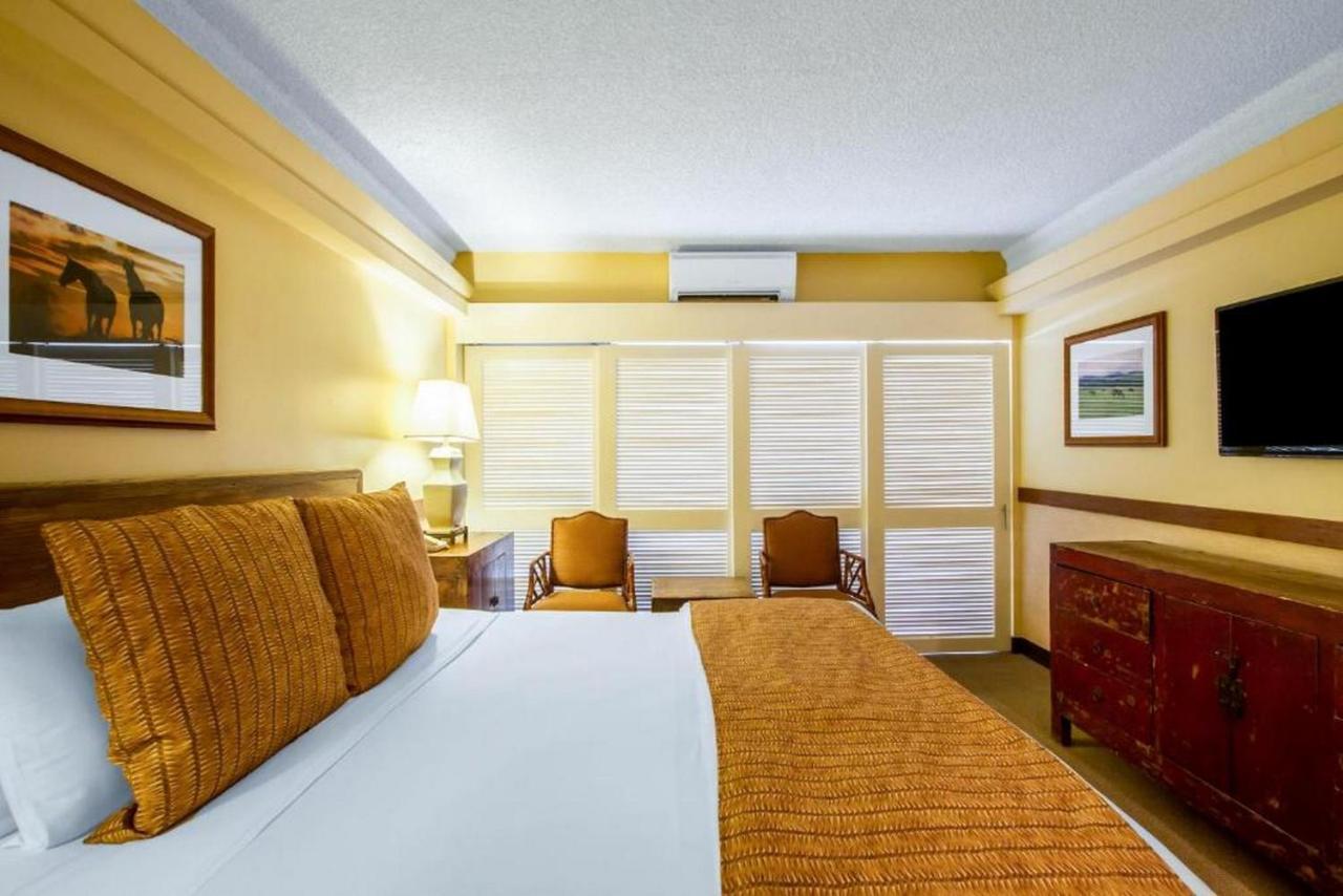 Hotel The Equus Honolulu Exterior foto
